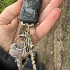 Sleutelbos, jak zgłoszono do iLost