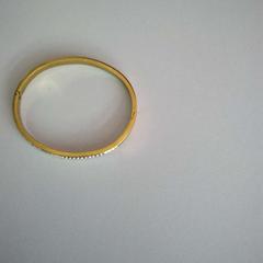 Pulseira, segundo informou Twisto usando iLost