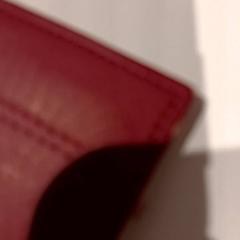 İLost kullanarak De Efteling tarafından bildirildiği gibi Cüzdan