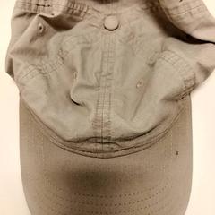 Pet, zoals gemeld door Ziekenhuis Oost-Limburg met iLost