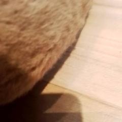 İLost kullanarak Beekse Bergen Resorts en Hotel tarafından bildirildiği gibi Knuffel