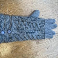 İLost kullanarak Hortus tarafından bildirildiği gibi Eldiven