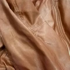 Lederjacke, gemeldet von RRReis IJssel-Vecht über iLost