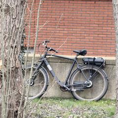 Fiets gevonden bij iepenlaan, segons s'ha informat a iLost