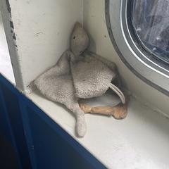 Knuffel op pont a été signalé sur iLost