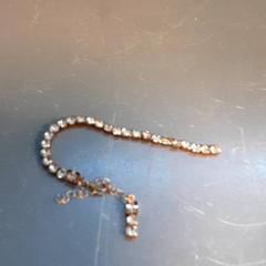 Armband, rapporterat av Diergaarde Blijdorp med iLost