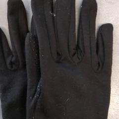 Gloves Zwart, as reported by Arriva Friesland / Groningen using iLost