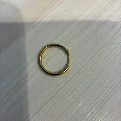 Earring, as reported by Gemeente Loon op Zand using iLost