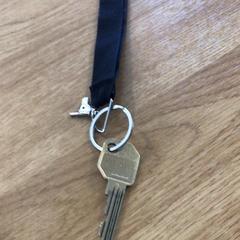 Klucz, zgłoszono przez Gemeente Alkmaar przy użyciu iLost