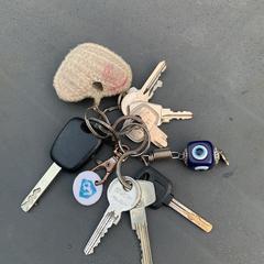 Sleutelbos, segons s'ha informat a iLost