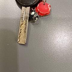 Sleutelbosje, come riportato da Qbuzz GD Groningen HS utilizzando iLost