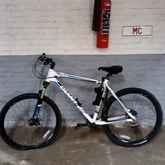 Herrenfahrrad Giant Wit, gemeldet von Fietsdepot Hasselt über iLost