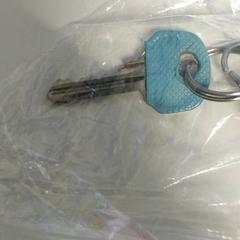 Kľúč Zilver met, ako bolo nahlásené St. Antonius Ziekenhuis Nieuwegein pomocou iLost