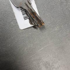 Nycklar Zilver, rapporterat av Arriva Friesland / Groningen med iLost