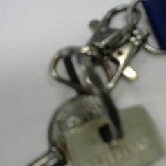 Chiavi, come riportato da Walibi Holland utilizzando iLost