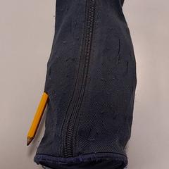 Case, as reported by Vrije Universiteit Amsterdam using iLost