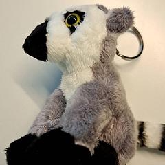 Kľúčenka, ako bolo nahlásené Ziekenhuis Oost-Limburg pomocou iLost