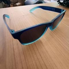 Gafas de sol Blauw montuur, segundo informou DierenPark Amersfoort usando iLost