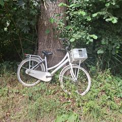 Fiets, som rapporterats till iLost