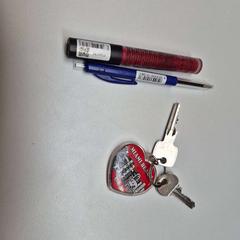 Kulcsok, amint azt Gemeente Zutphen az iLost segítségével jelentette.