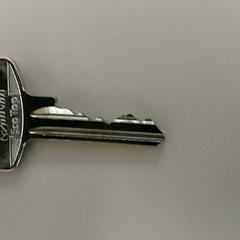 Llaves, ha sido reportado por Centraal magazijn con iLost