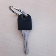 Sleutels  Zwart, como reportado por LUMC utilizando o iLost