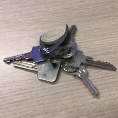 Kľúčenka, ako bolo nahlásené Gemeente Arnhem pomocou iLost