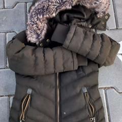 Jacka, rapporterat av Arriva West-Brabant med iLost