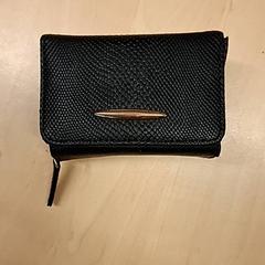 Cartera, segons ha informat RET mitjançant iLost