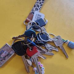 Sleutelbos met fotohanger, jak zgłoszono do iLost