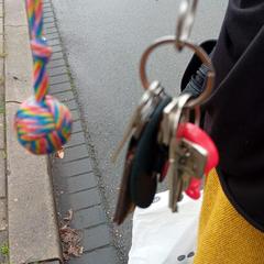 Sleutelbos, amint azt az iLostnak jelentették.