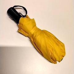 Deštník, jak nahlášeno Gemeente Puurs-Sint-Amands pomocí iLost