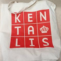 Borsa Wit met rode opdruk, come riportato da Qbuzz GD Groningen Peizerweg utilizzando iLost