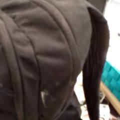 Rucksack, gemeldet von Qbuzz Fryslân über iLost