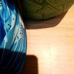 Bandes de natació Puddle jumper, segons ha informat Beekse Bergen Resorts en Hotel mitjançant iLost