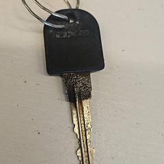 Nøkkel, som rapportert av Supersized Kingsday 2025 ved bruk av iLost