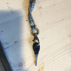 Sykkelnøkkel, som rapportert av Paaspop 2025 ved bruk av iLost