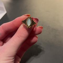 Prsteň Blauwe steen, ako bolo nahlásené Van der Valk Hotel Houten pomocou iLost