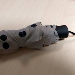 Guarda-chuva, como reportado por Regio Oost-Vlaanderen utilizando o iLost