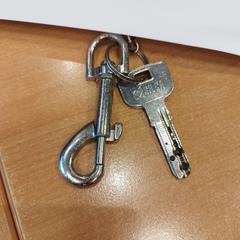 Huissleutel, zoals gemeld door Politiezone Rivierenland met iLost