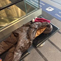 Brown jacket and two gloves، كما تم الإبلاغ عنه عبر iLost