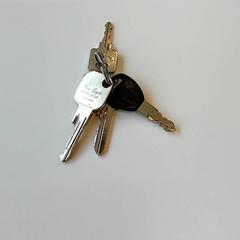 Sleutelbos, som rapportert av Centraal magazijn ved bruk av iLost