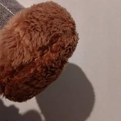 Knuffel, as reported by De Efteling using iLost