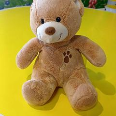 Medvídek, jak nahlášeno IKEA Mulhouse pomocí iLost