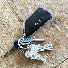 Sleutelbos met autosleutel, come riportato a iLost