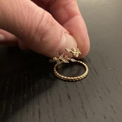 2 ringen, jak bylo nahlášeno na iLost