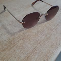 Zonnebril, iLost를 사용하여 Dolfinarium에 보고됨