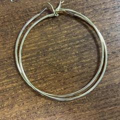 Fülbevaló, amint azt Pathé Leeuwarden az iLost segítségével jelentette.