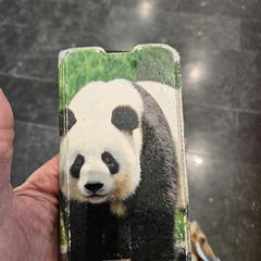 Phone, som rapporterats till iLost