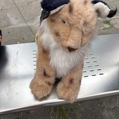 Teddy animal big, as reported to iLost